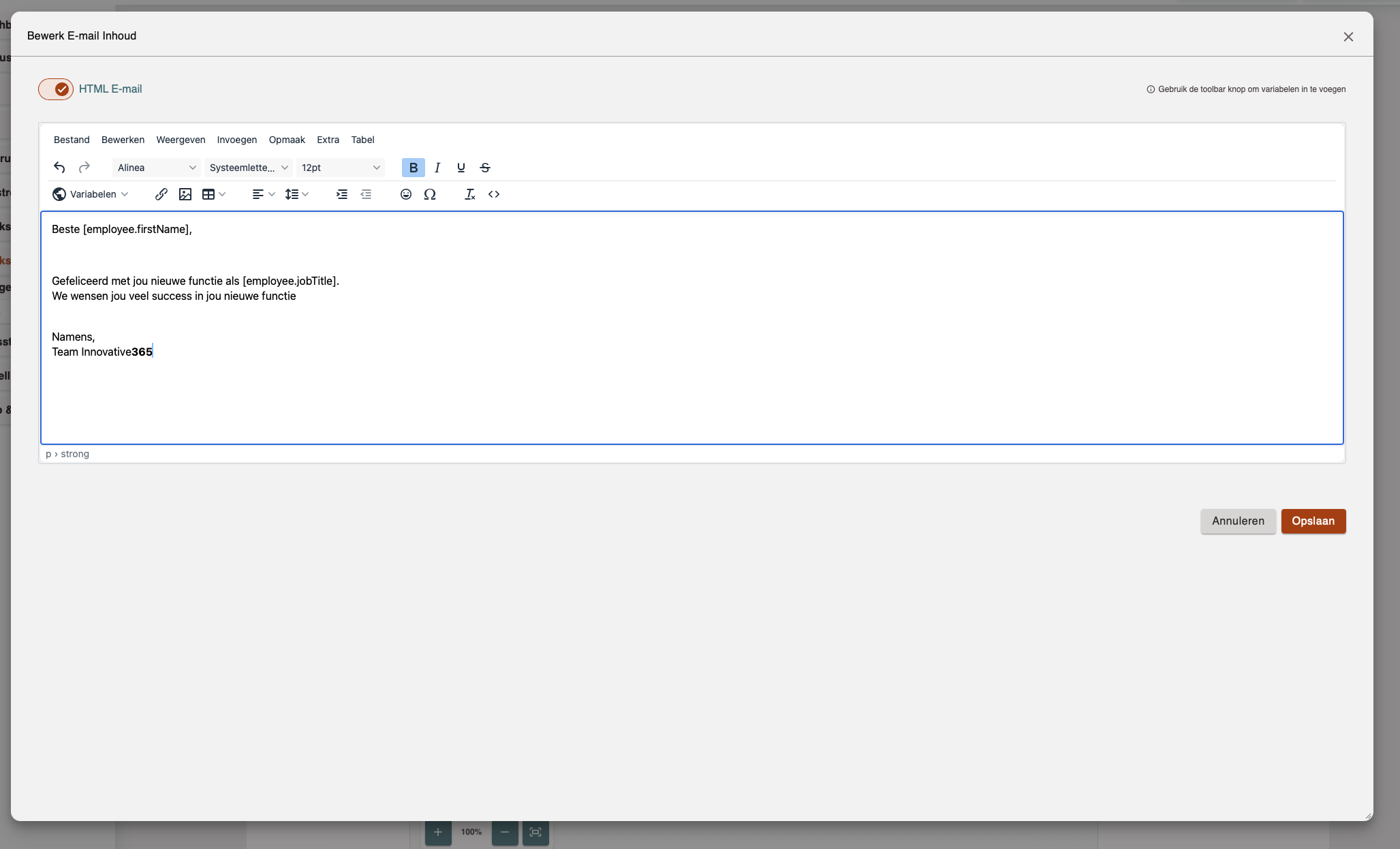 E-mail preview met voorbeelddata E-mail preview met voorbeelddata
